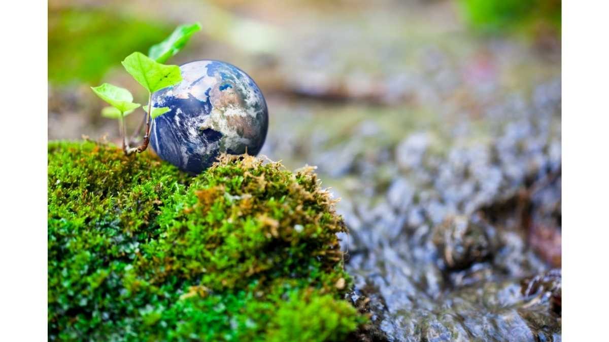 medioambiente