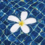 Consejos para mantener el pH de la piscina