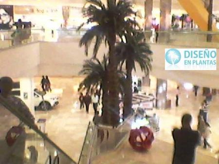 20110810144553_Foto-0001.jpg.jpeg