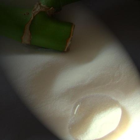 20121119075200_1_protectores.jpg.jpeg