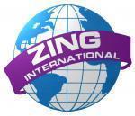 20121120145853_Logo_Zing_400_con_luz_1.jpg.jpeg